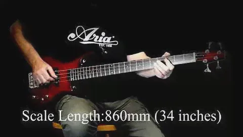 ARIA professional bass IGB STANDARD